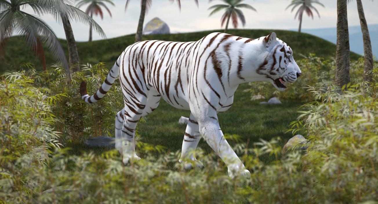 3D White Tiger Walkig Pose model