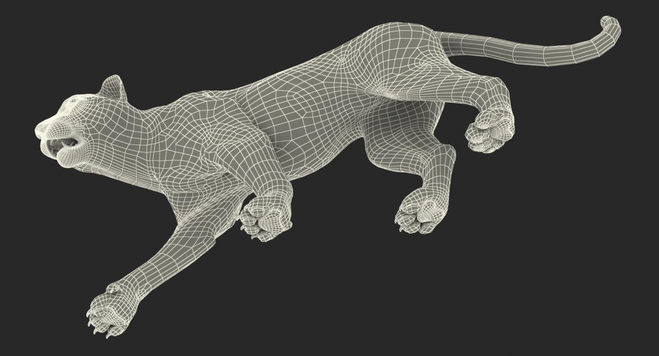 3D White Tiger Walkig Pose model