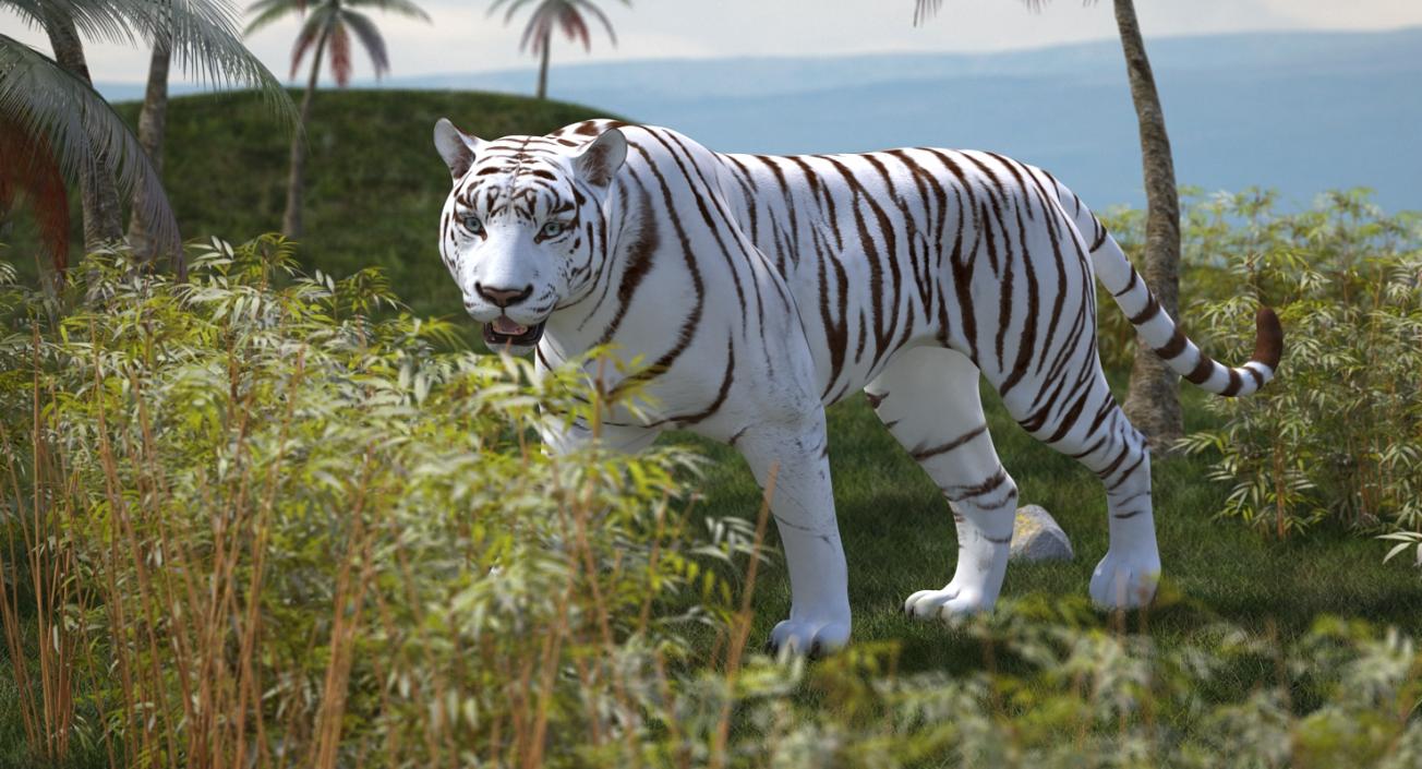 3D White Tiger Walkig Pose model