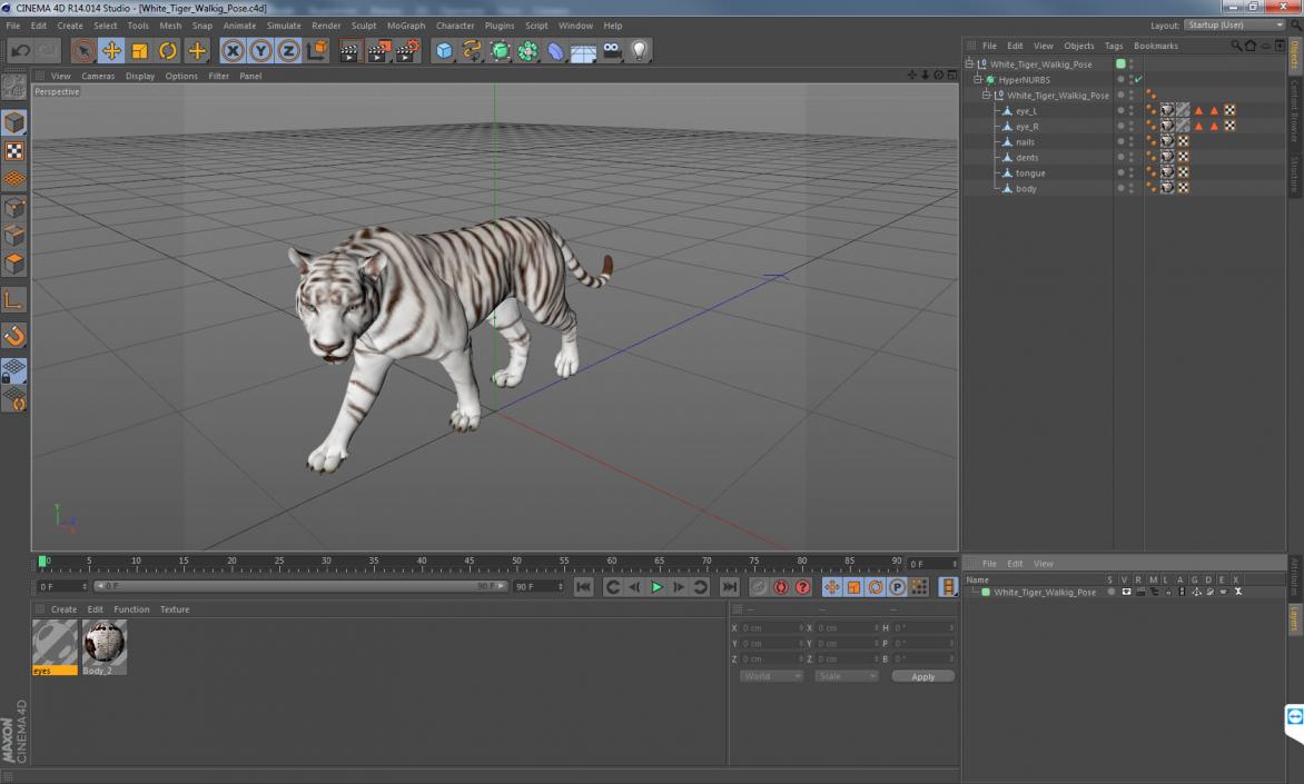 3D White Tiger Walkig Pose model