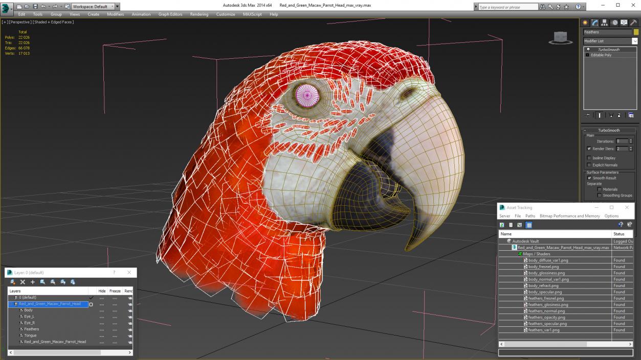 3D Red and Green Macaw Parrot Head