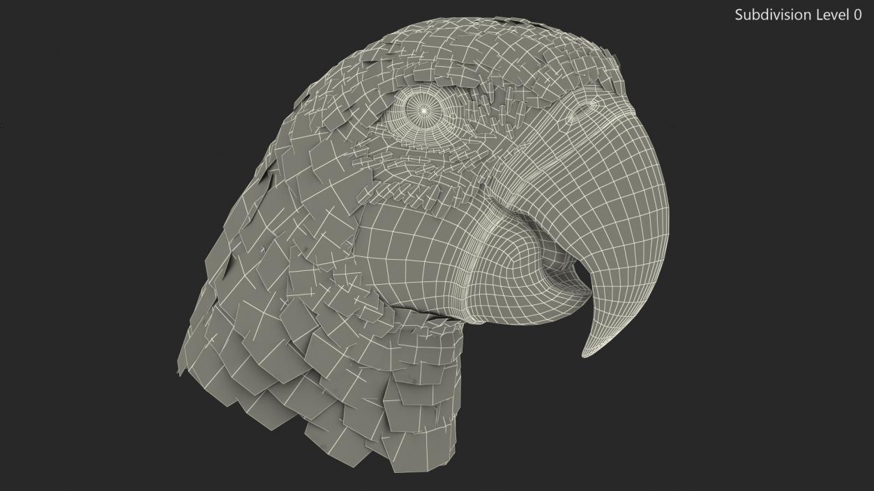 3D Red and Green Macaw Parrot Head