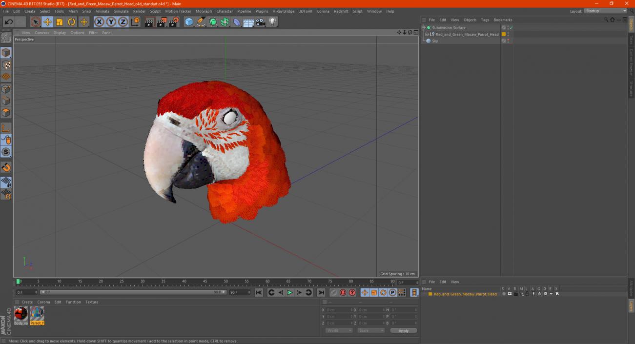 3D Red and Green Macaw Parrot Head