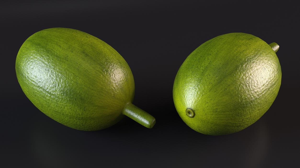 Green Ripe Coffee Bean 3D