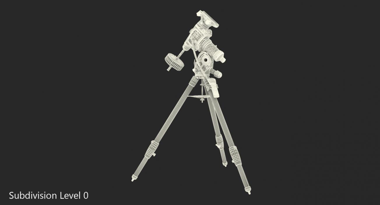 3D Celestron CGEM Equatorial Mount Tripod model