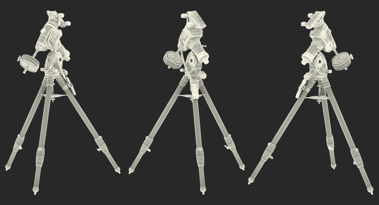 3D Celestron CGEM Equatorial Mount Tripod model