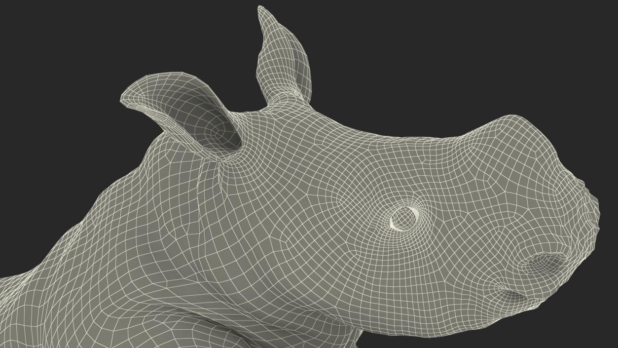 3D Baby Rhino Running Pose model