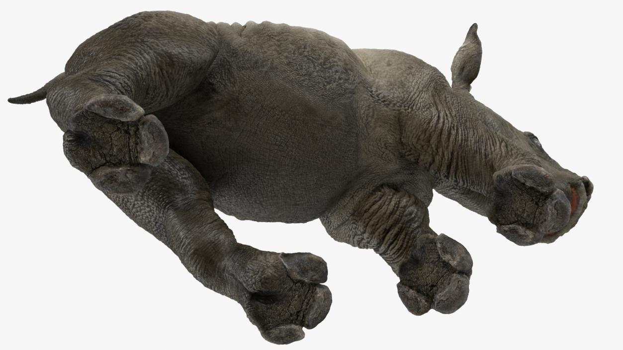 3D Baby Rhino Running Pose model