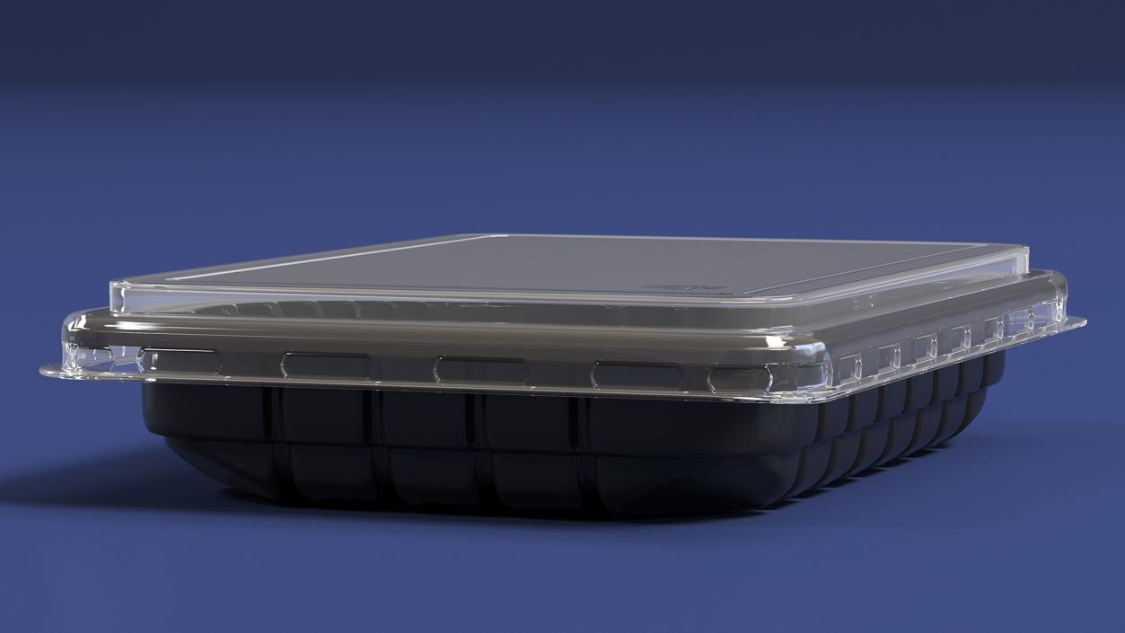 Plastic Take Out Container with Lid Black 18x13cm 3D model