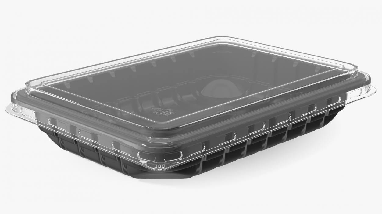 Plastic Take Out Container with Lid Black 18x13cm 3D model