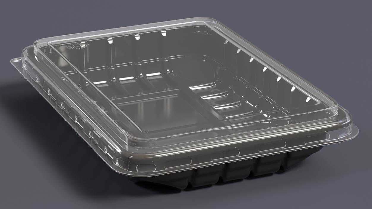 Plastic Take Out Container with Lid Black 18x13cm 3D model