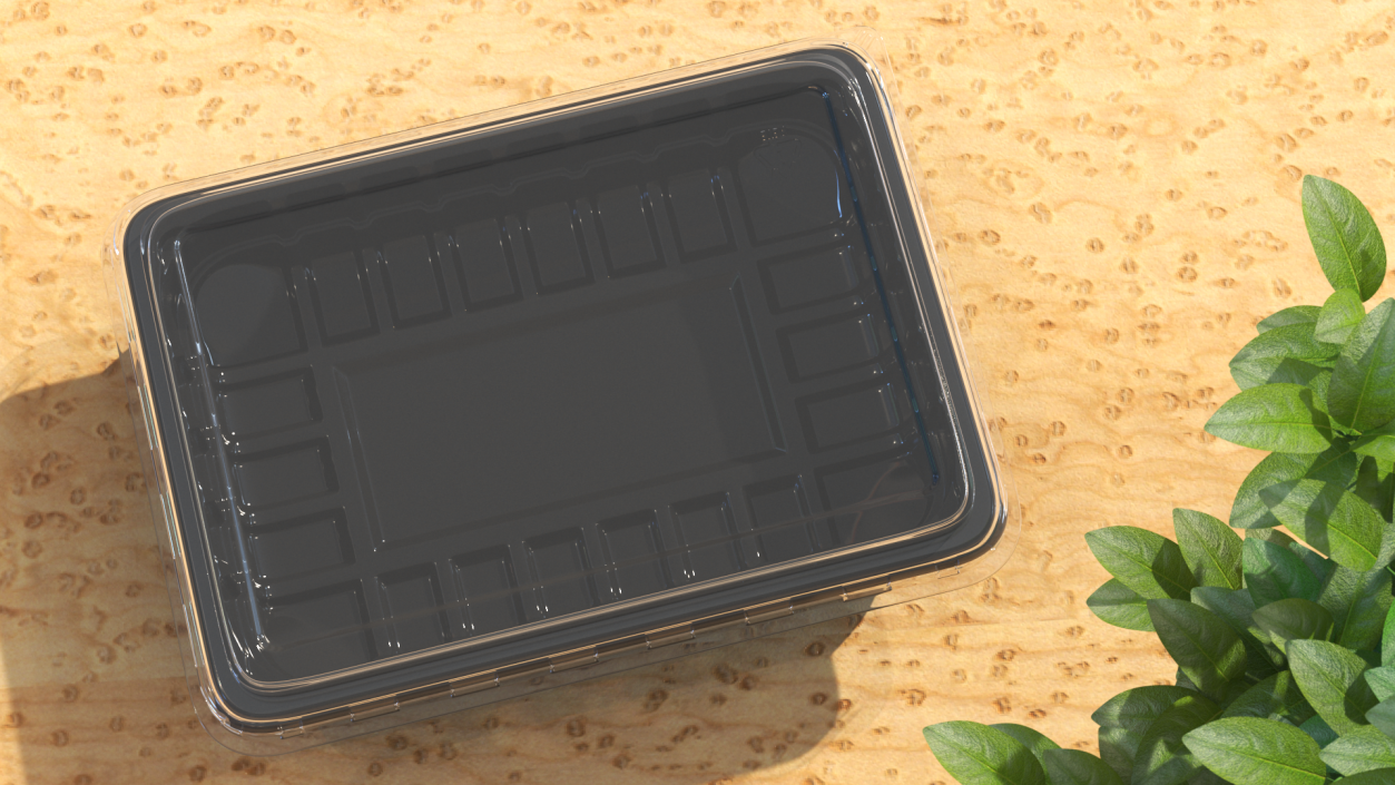 Plastic Take Out Container with Lid Black 18x13cm 3D model