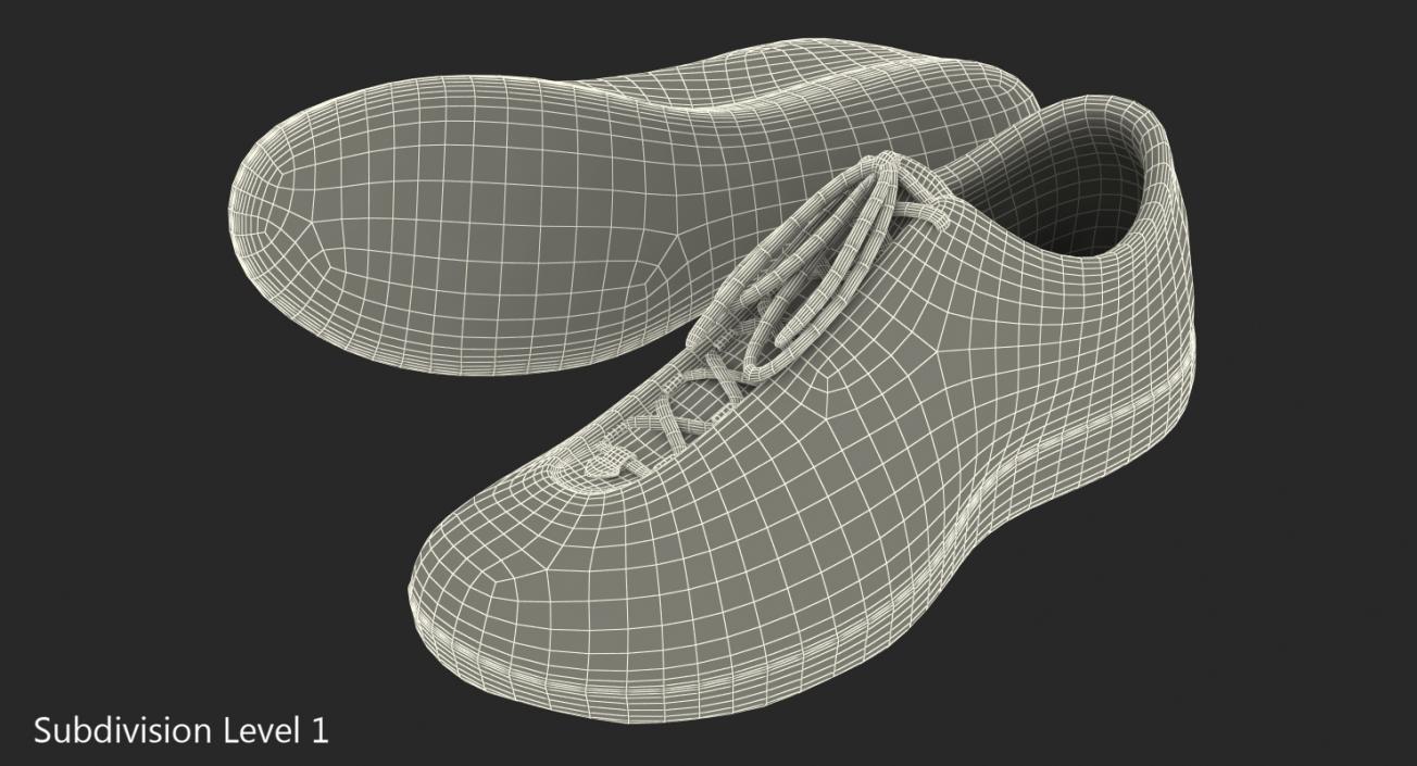 3D Fencing Shoes model