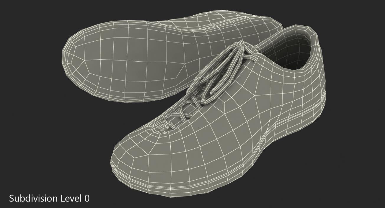 3D Fencing Shoes model