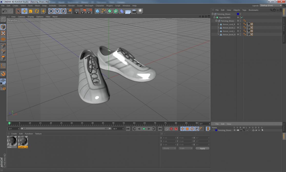 3D Fencing Shoes model