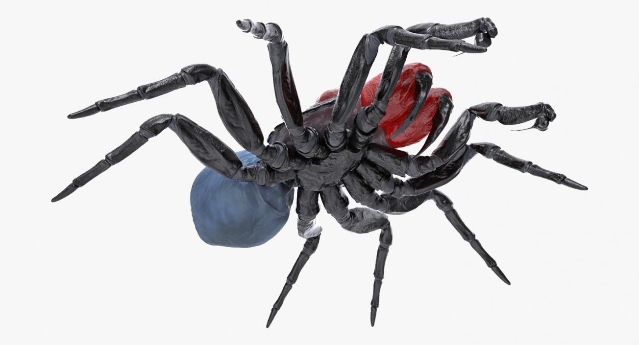 3D Spiders Collection model