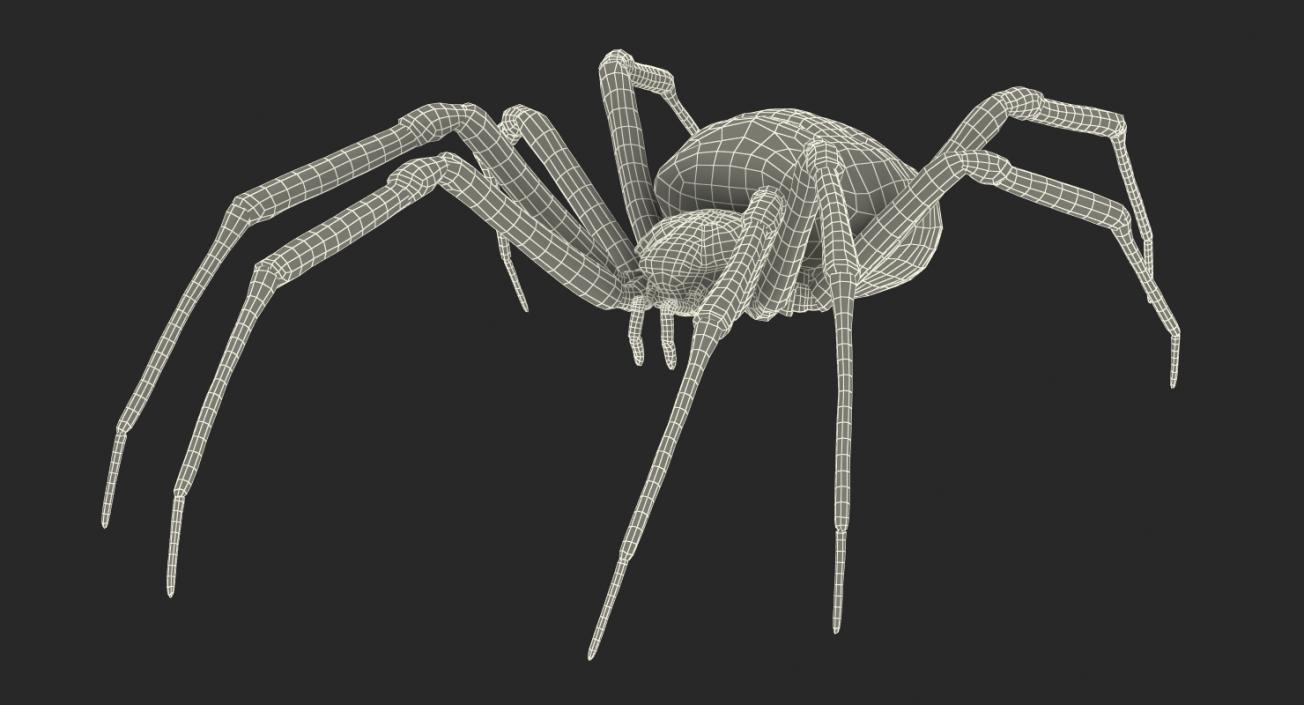 3D Spiders Collection model