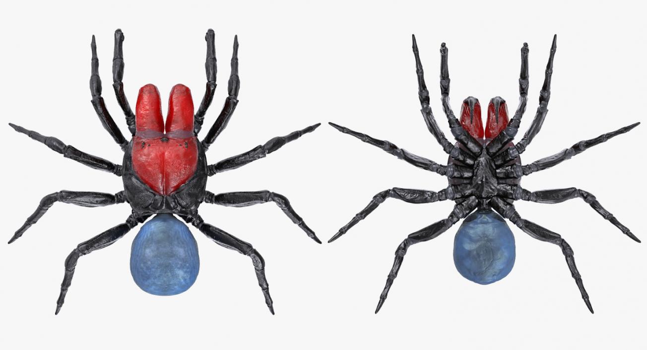 3D Spiders Collection model