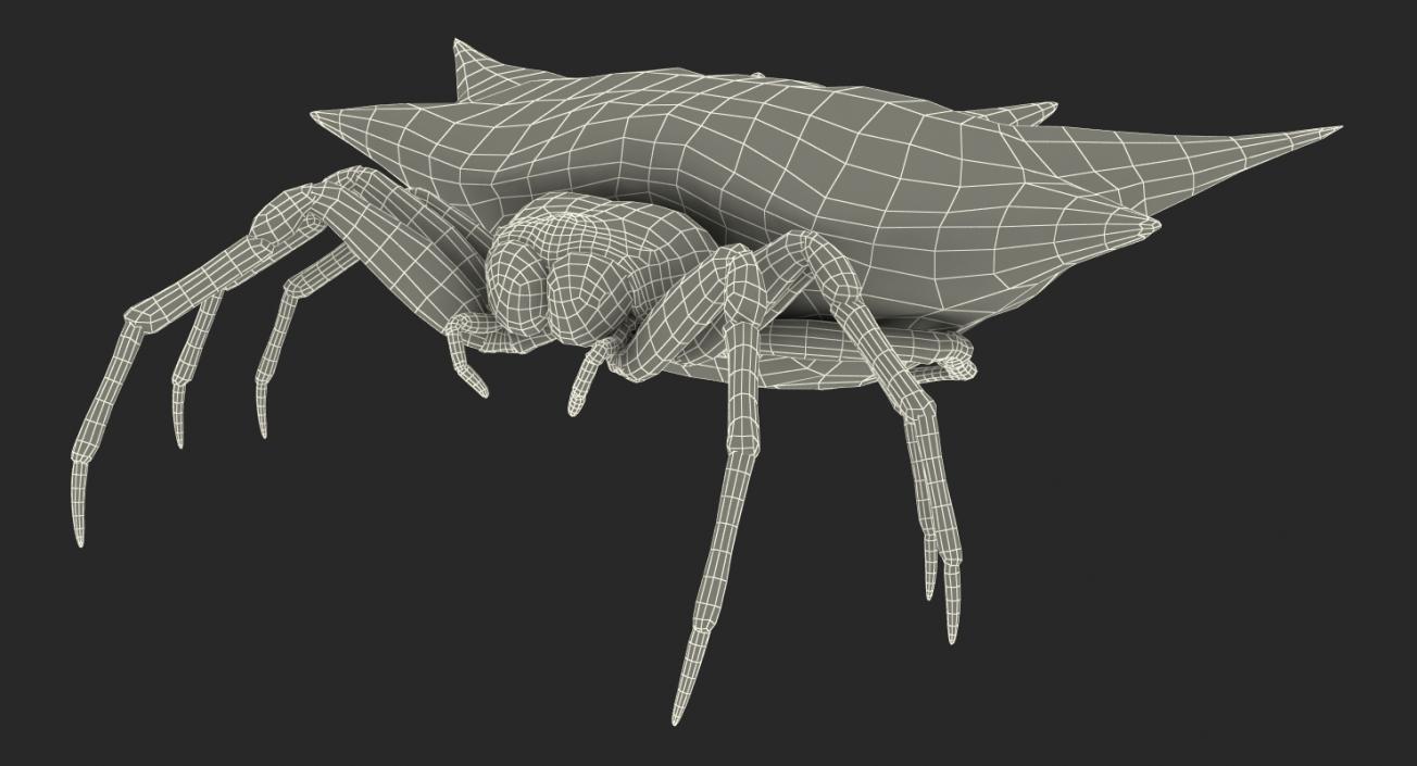 3D Spiders Collection model