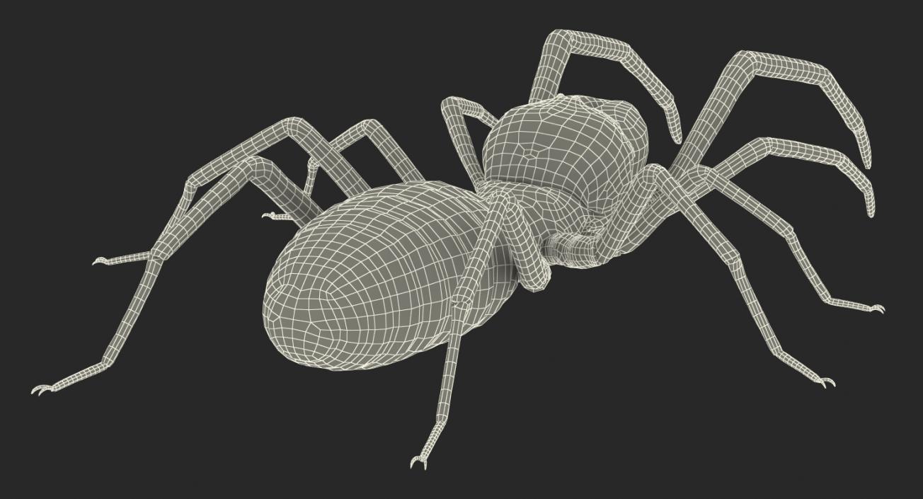 3D Spiders Collection model