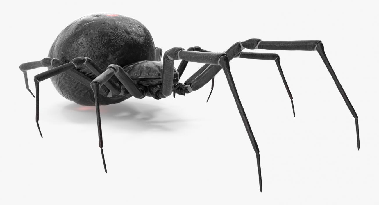 3D Spiders Collection model