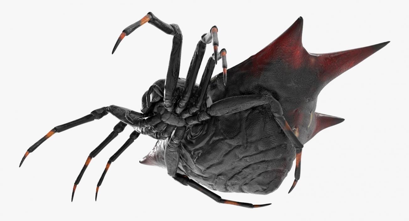 3D Spiders Collection model