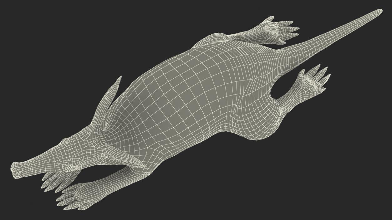 African Animal Aardvark Lying Pose 3D model