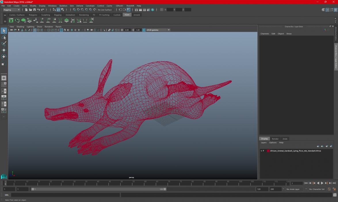 African Animal Aardvark Lying Pose 3D model