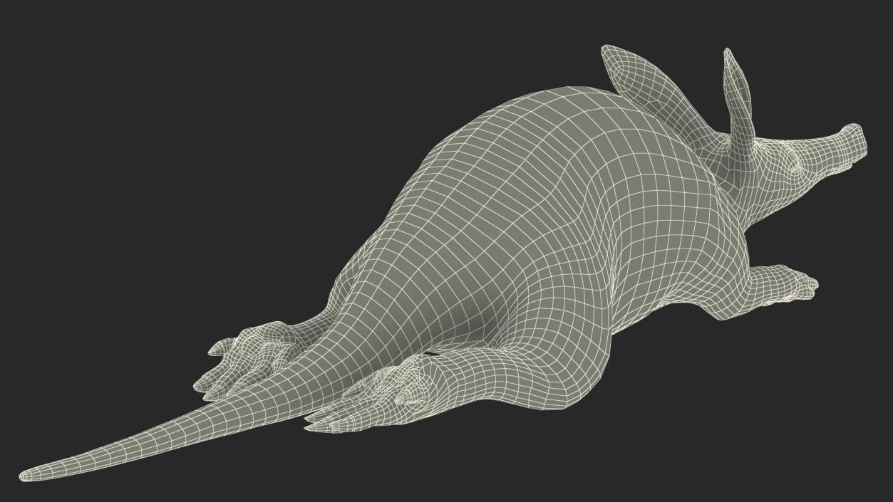 African Animal Aardvark Lying Pose 3D model