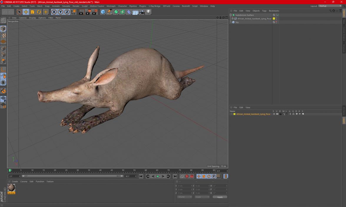 African Animal Aardvark Lying Pose 3D model