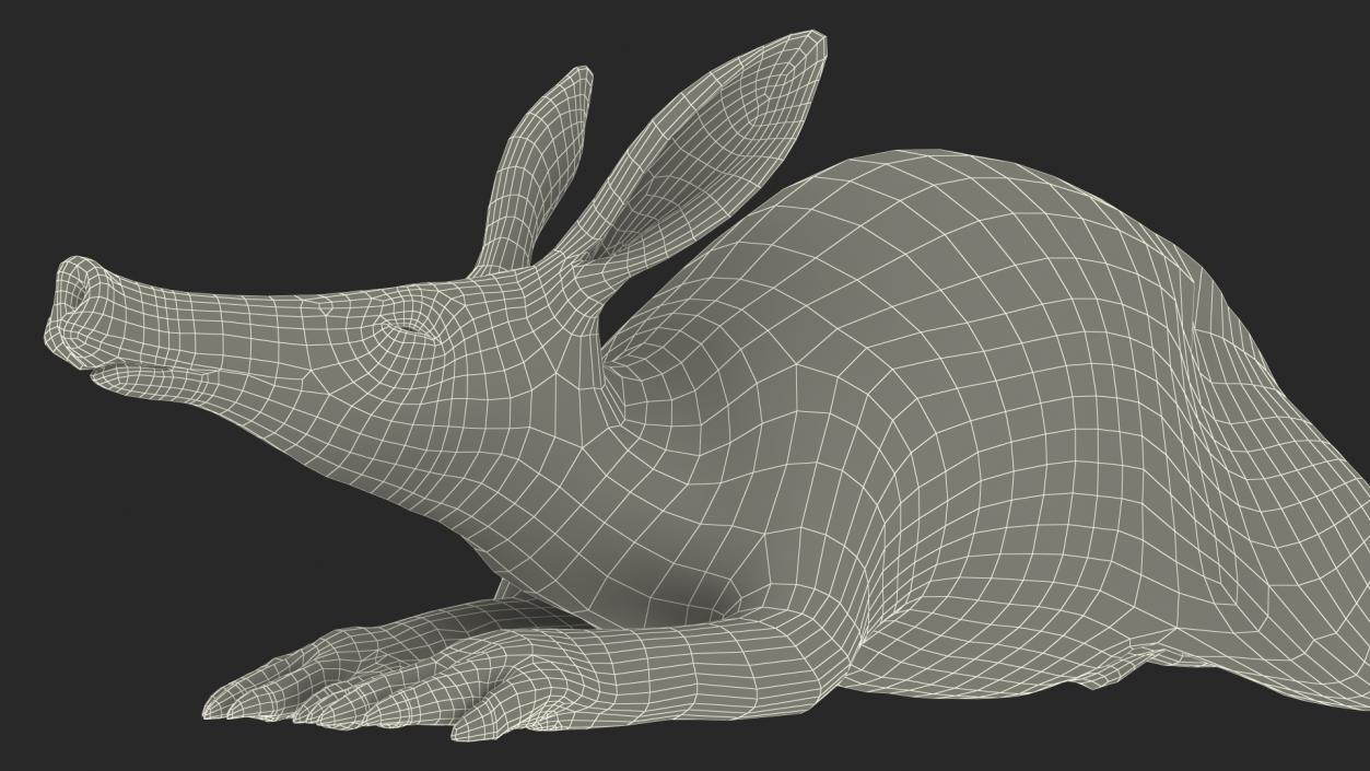 African Animal Aardvark Lying Pose 3D model