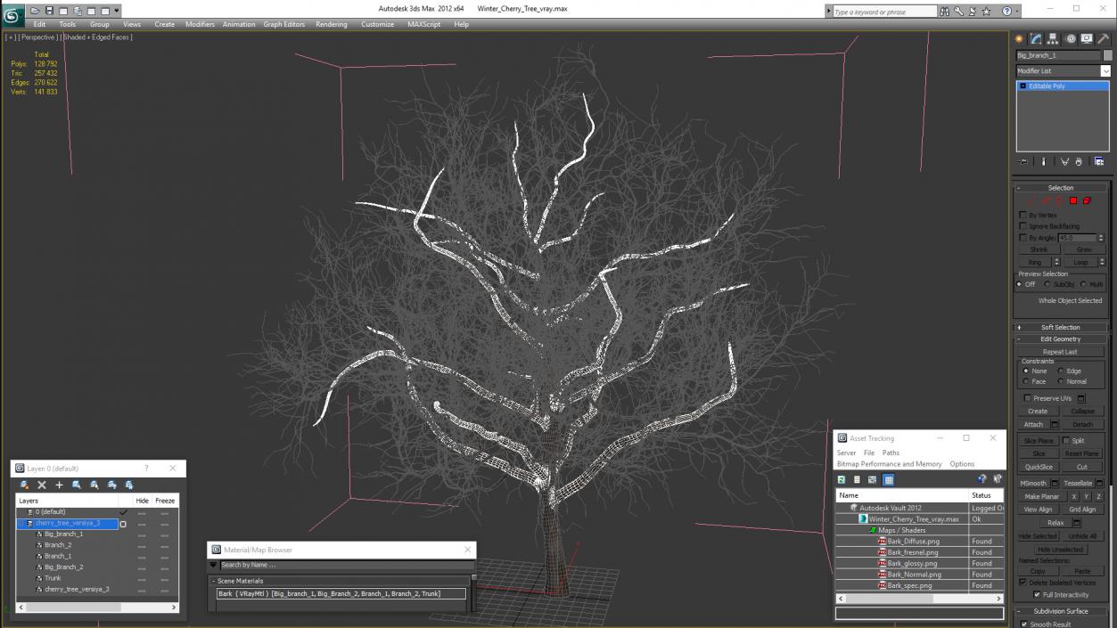 3D Winter Cherry Tree model