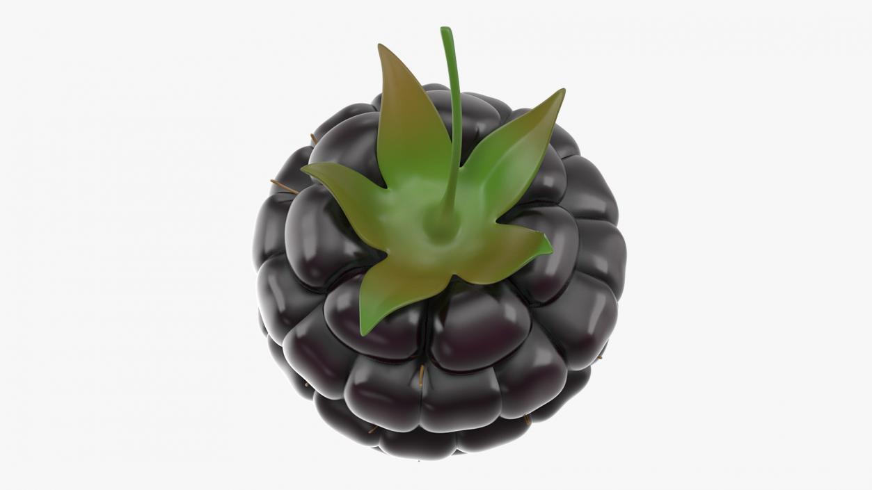 3D Fresh Blackberry