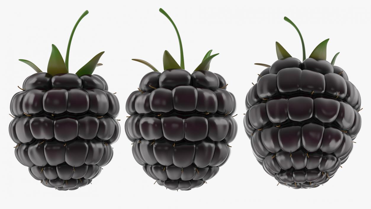 3D Fresh Blackberry