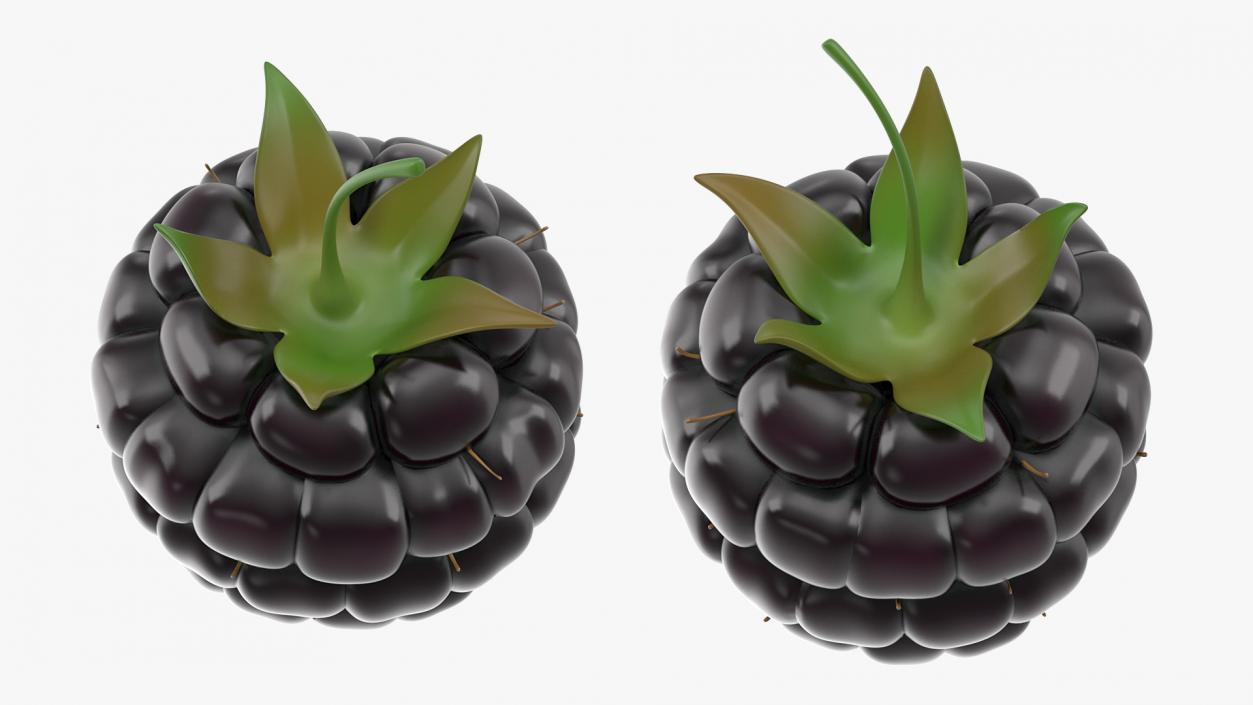 3D Fresh Blackberry