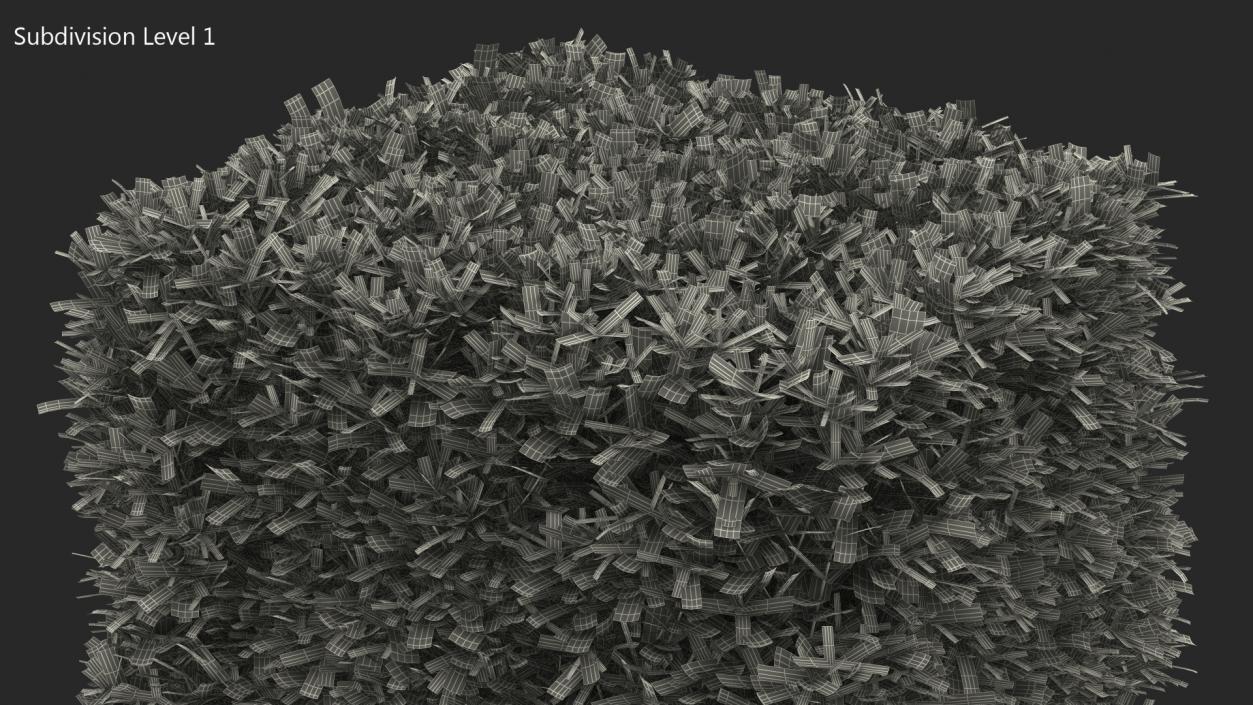 Boxwood Square Bush 3D model