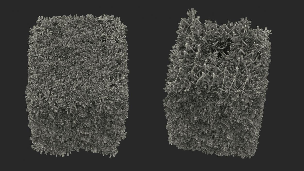 Boxwood Square Bush 3D model