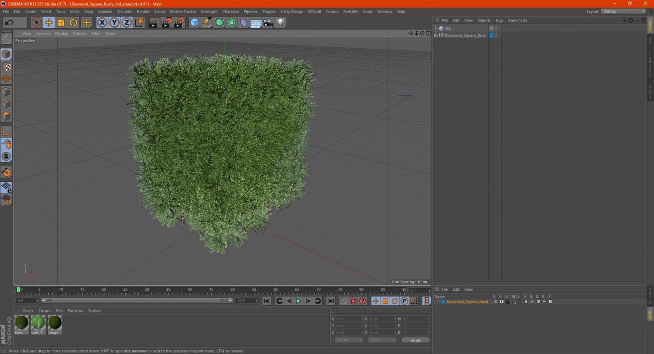 Boxwood Square Bush 3D model