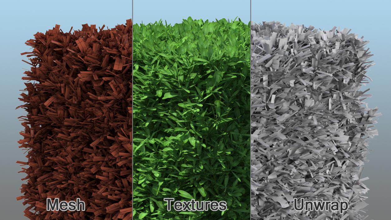 Boxwood Square Bush 3D model