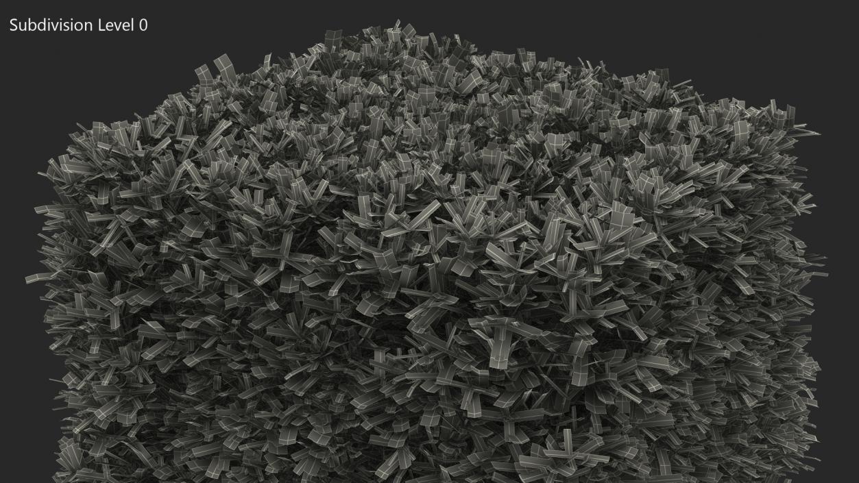 Boxwood Square Bush 3D model