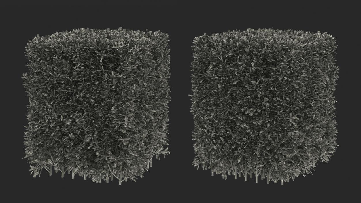 Boxwood Square Bush 3D model