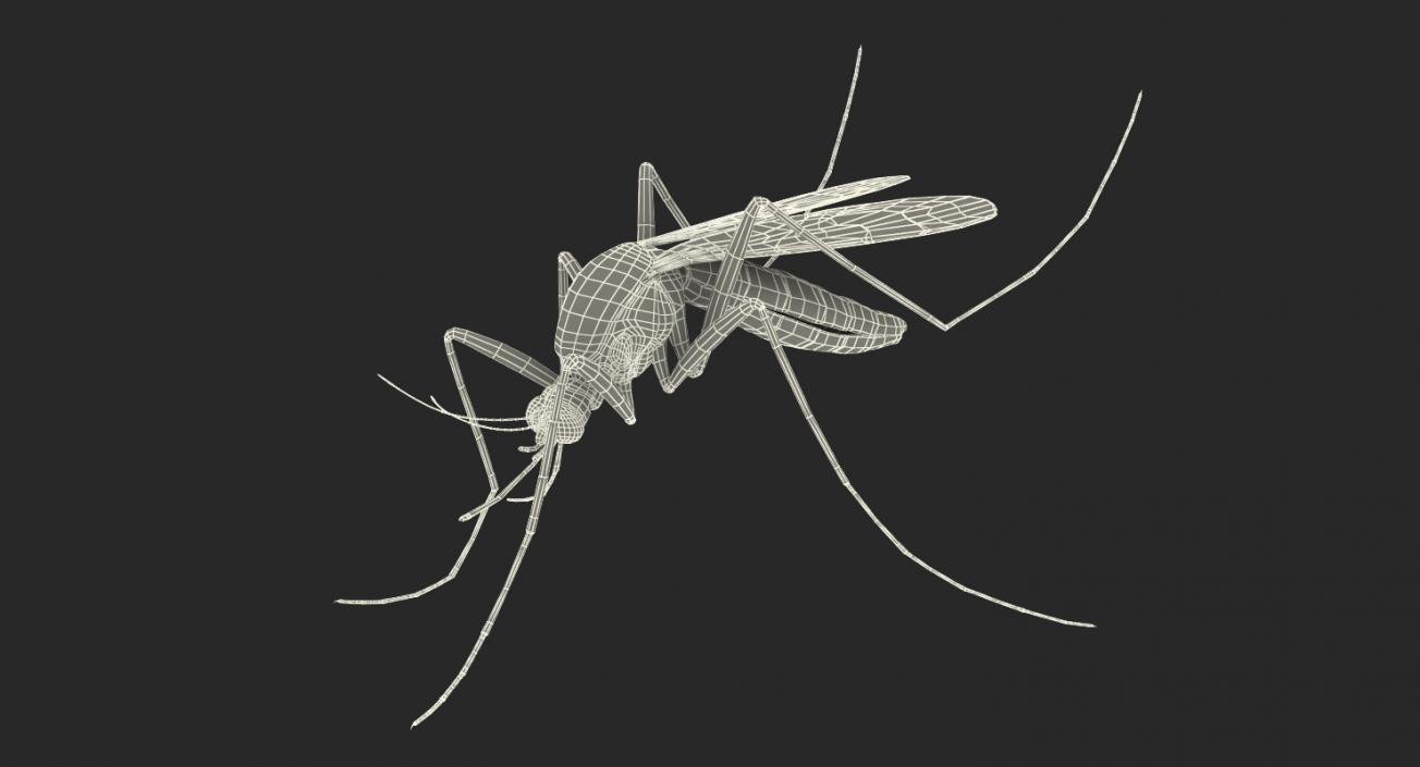 Mosquito Pose 3 with Fur 3D model