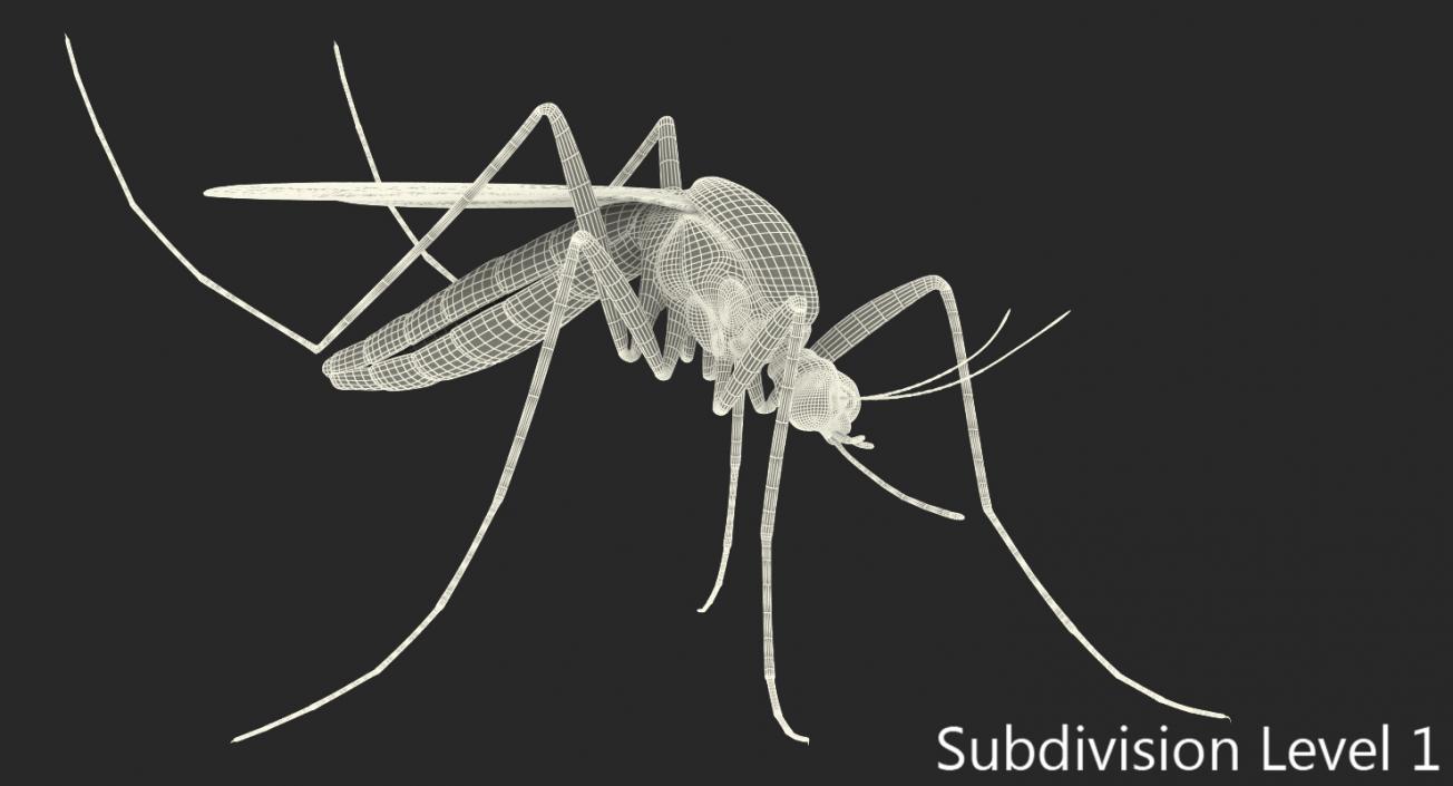 Mosquito Pose 3 with Fur 3D model