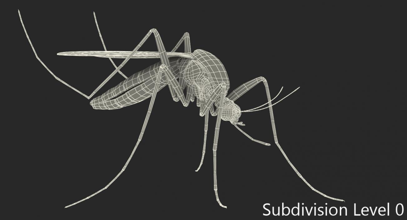 Mosquito Pose 3 with Fur 3D model