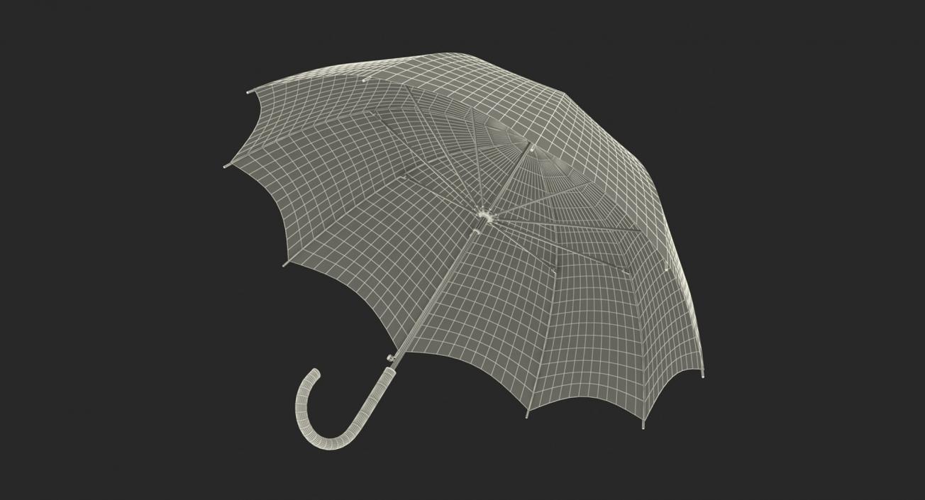 3D Rain Protection Collection 3 model