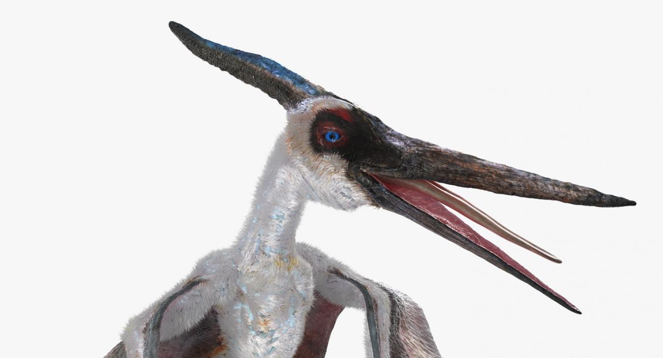 Pterosaur Pteranodon White Standing Pose with Fur 3D model