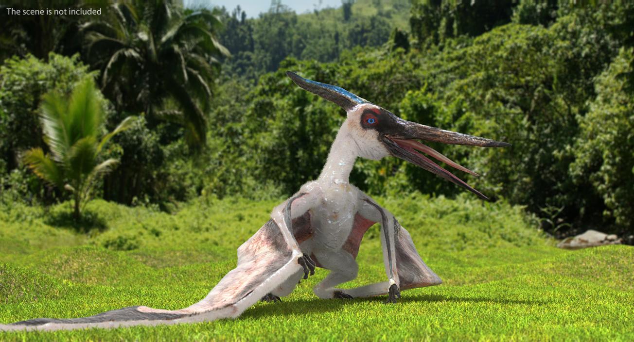 Pterosaur Pteranodon White Standing Pose with Fur 3D model