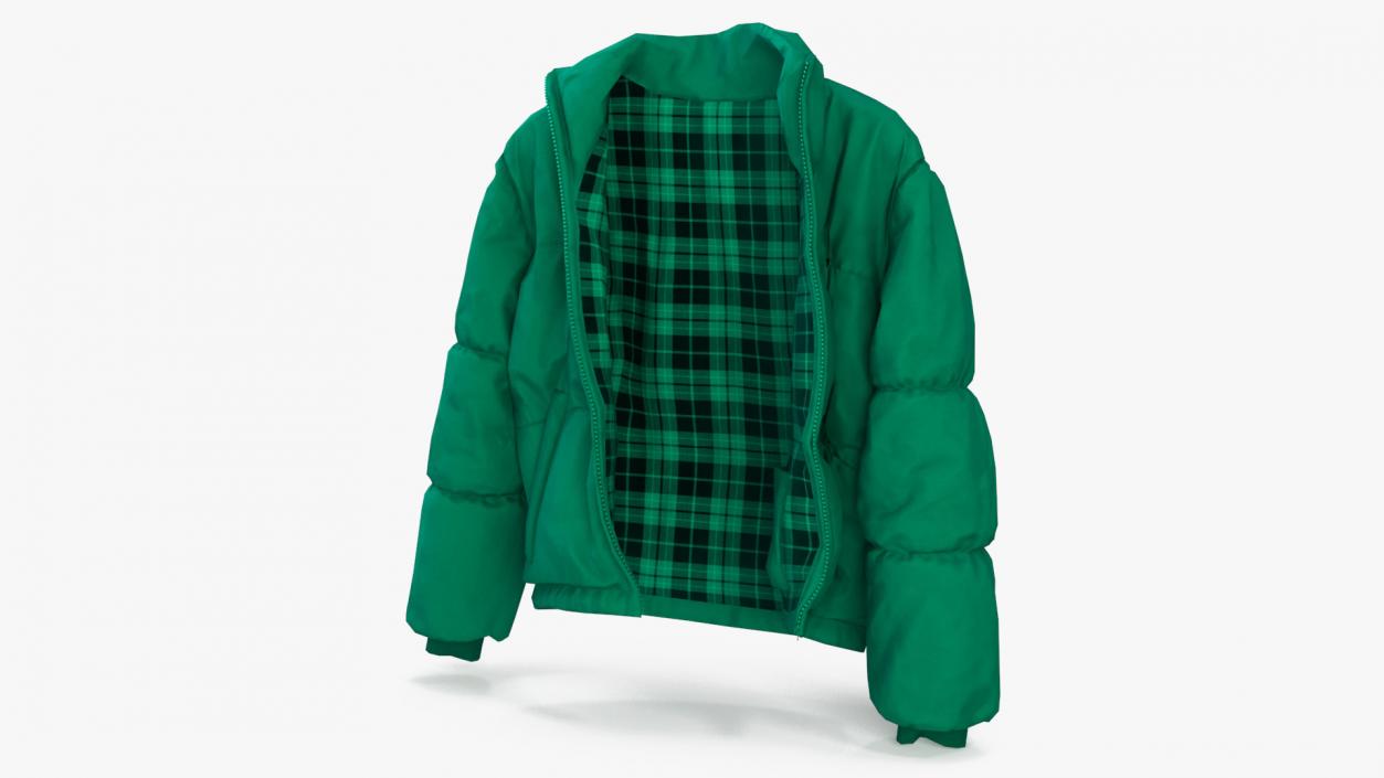 3D Oversize Puffer Mens Jacket Green model