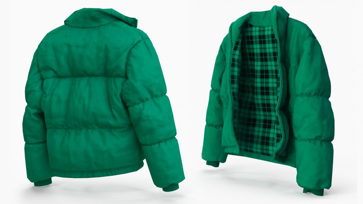 3D Oversize Puffer Mens Jacket Green model