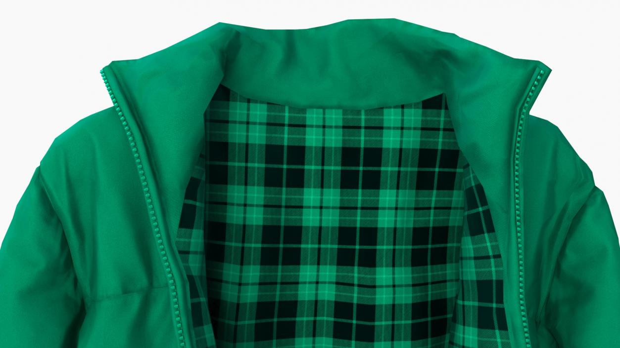 3D Oversize Puffer Mens Jacket Green model